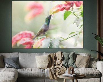 Kolibri by Ellen van Drunen