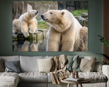 Twee witte ijsberen relaxen van Jolanda Aalbers