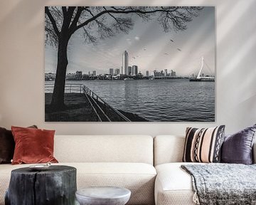 Rotterdam in Black And White by Sonny Vermeer