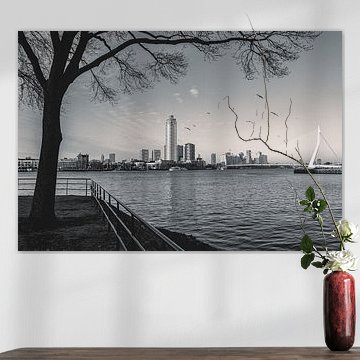 Rotterdam in Black And White