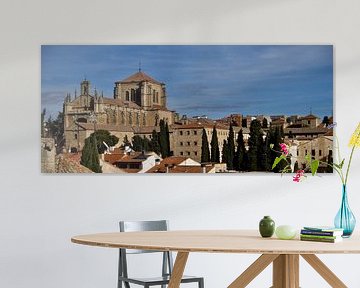 Panorama van Salamanca van Jan Maur
