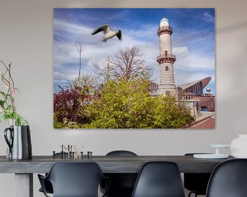 Leuchtturm in Warnemünde mit Möwen von Animaflora PicsStock