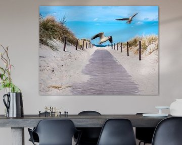 Seagulls on the beach path in Warnemünde on the Baltic Sea by Animaflora PicsStock