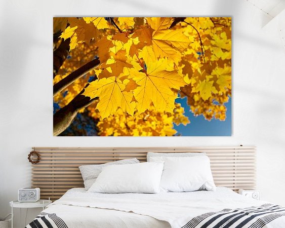 Raumvorschau