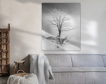 Schwarz-weiß einzelner Baum mit gefrorenen Ästen im Tannheimer Tal zum Sonnenaufgang mit frischem Sc