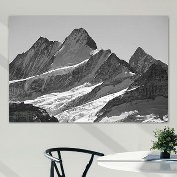 Schreckhorn and Lauteraarhorn