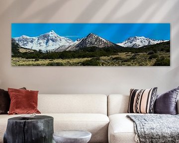 Panorama van de Patagonische Andes van Christian Peters