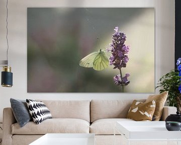 Schmetterling von Art by Janine