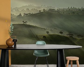 Foggy morning - tea plantation Asia - panorama by Ellis Peeters