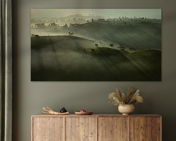 Foggy morning - tea plantation Asia - panorama by Ellis Peeters