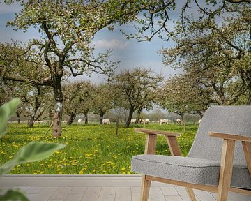 Boomgaard met appelbomen in de lente van Sjoerd van der Wal Fotografie