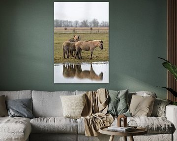 Groep wilde Konikpaarden in het natuurreservaat Oostvaardersplassen van Sjoerd van der Wal Fotografie