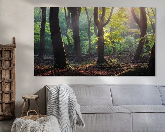 Aperçu de la chambre