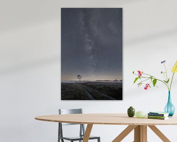 Galaxy on the Veluwe by Jeroen Linnenkamp