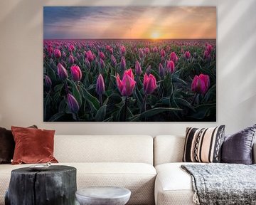 Roze tulpen tijdens zonsopkomst | Landschapsfotografie in Flevoland | Bloemen van Marijn Alons
