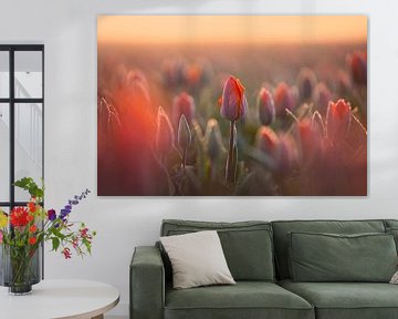 Bollenveld met oranje tulpen | Bloemen in Nederland van Marijn Alons