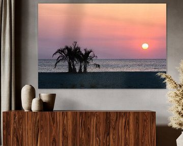 Palmboom aan de kust in de zonsopgang