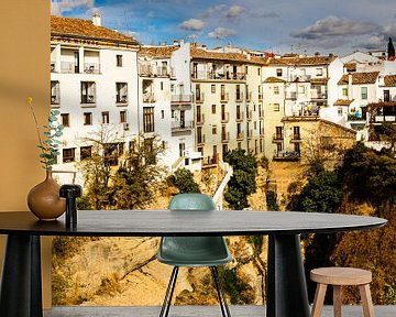 Oude stadsgebouwen van Ronda aan de kloof Tajo de Ronda Andalucia Spanje van Dieter Walther