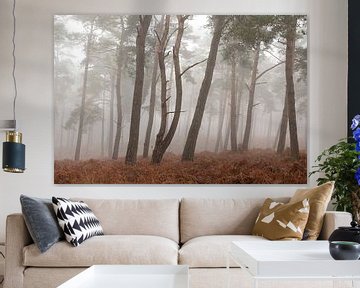 Veluwe in de mist, prachtig bos Kroondomein Het Loo (Uddel) van Esther Wagensveld
