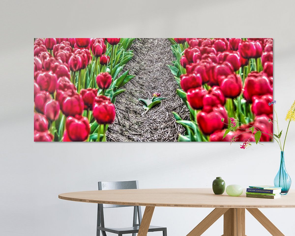 Voorbeeld van het werk in een kamer