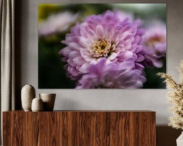 Blumen