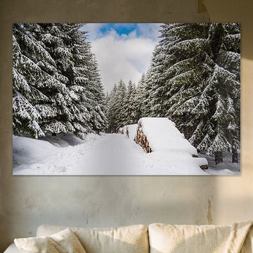 Landschaft im Winter im Thüringer Wald von Rico Ködder