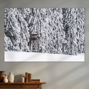Landschaft im Winter im Thüringer Wald von Rico Ködder