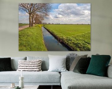 Typisch Nederlands polderlandschap in het begin van het voorjaar