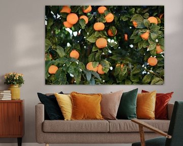 Spaanse sinaasappels | Spanje | Oranje | Fruit