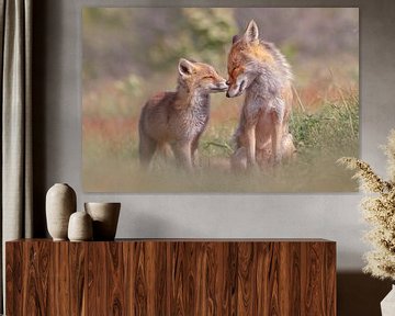 Foxy Love - Mutter und Fuchswelpe von Roeselien Raimond