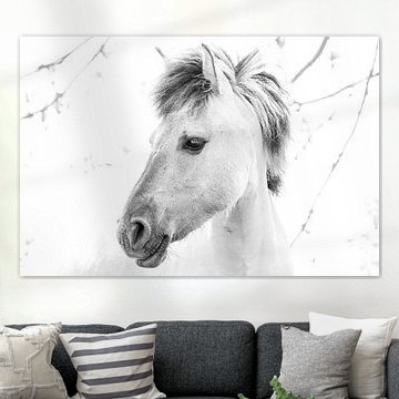 Konink by Joost van Doorn