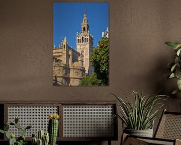 Sevilla, golden tower, plaza de espana, La Giralda , Andalucia, Spanje van Kim Willems