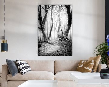 Dansende bomen in het Speulderbos Ermelo in het zwart wit met mist op de achtergrond. van Bart Ros