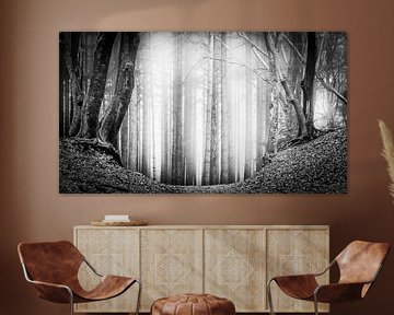 Straight trees surrounded by dancing trees and fog in the Speulder forest in Black&White by Bart Ros