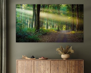 Forest path into the light by Martin Wasilewski