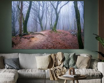 Bäume im Nebel im Speulderbos in Ermelo Niederlande