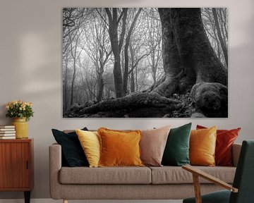 Photographie en noir et blanc d'un arbre dans le Speulderbos Ermelo Pays-Bas avec de la brume en arr