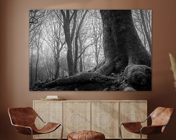 Photographie en noir et blanc d'un arbre dans le Speulderbos Ermelo Pays-Bas avec de la brume en arr