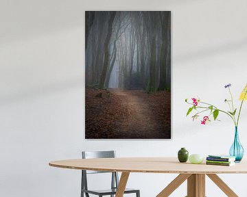 Dunkle Bäume im Speulderbos in Ermelo, Niederlande, mit Nebel im Hintergrund und Blättern auf dem Bo