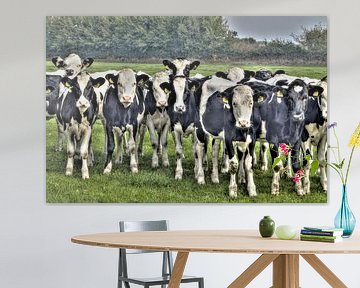Koeien in de wei - hdr van Frouwkje Fotografie