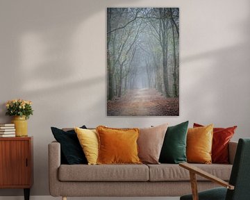 Tree and forest path in the fog in the speulderbos Ermelo Netherlands Holland