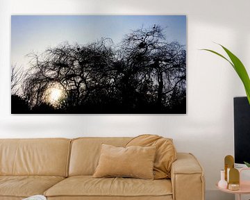 Reiher in der Wintersonne