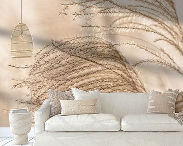 Riet pluimen in zacht licht en zachte kleurtonen van Mayra Fotografie