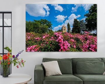 Alter spanischer Turm am hellen Sommertag zwischen rosa Rosen von pixxelmixx