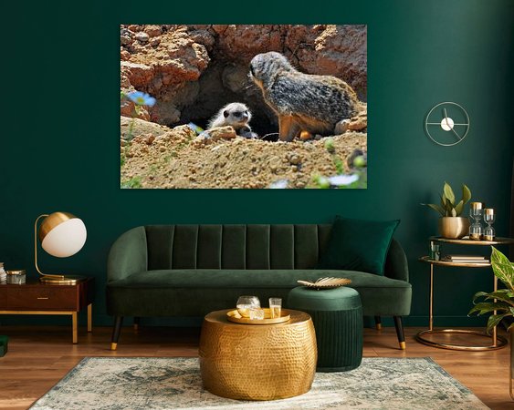 Aperçu de la chambre