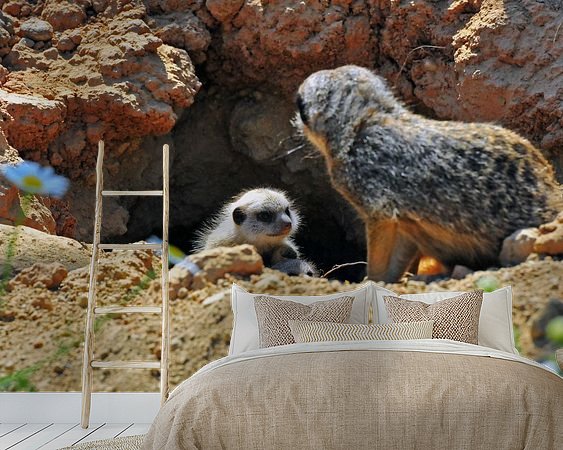 Aperçu de la chambre