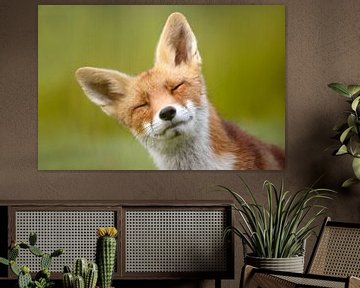 Funny Fox - vossen portret van Roeselien Raimond
