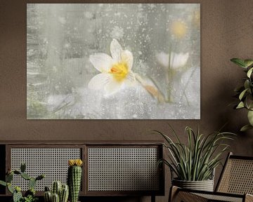 Krokus im Schnee Fine art photo painting von Marianne van der Zee