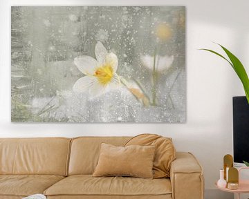 Moderne afgebeelde krokus in sneeuw Fine-art Schilderen met foto's van Marianne van der Zee