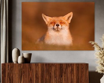 Zen Fox Serie - Der glückliche Fuchs ist glücklich! von Roeselien Raimond